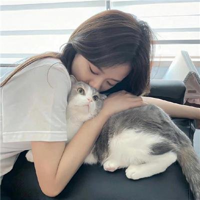 第三类房客粤语